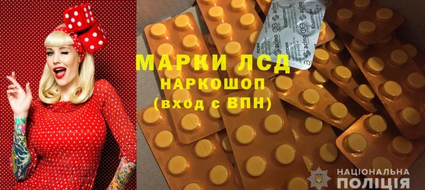 ПСИЛОЦИБИНОВЫЕ ГРИБЫ Балахна