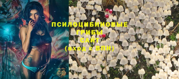 ПСИЛОЦИБИНОВЫЕ ГРИБЫ Балахна