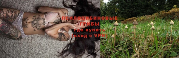 ПСИЛОЦИБИНОВЫЕ ГРИБЫ Балахна