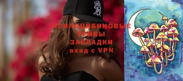 ПСИЛОЦИБИНОВЫЕ ГРИБЫ Балахна