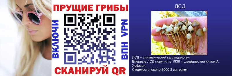 хочу наркоту Горячеводский Галлюциногенные грибы мицелий